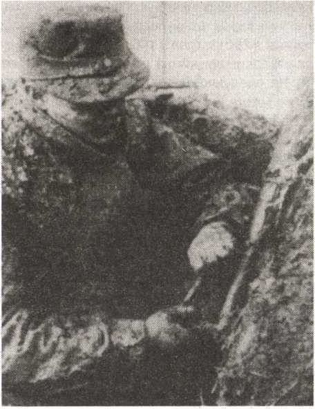 Железный крест для снайпера. Убийца со снайперской винтовкой - i_019.jpg