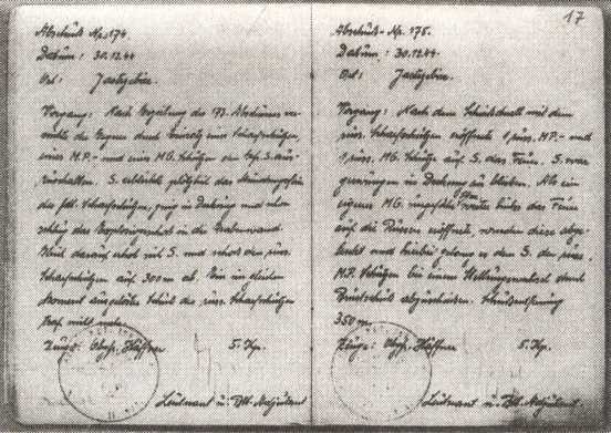 Железный крест для снайпера. Убийца со снайперской винтовкой - i_028.jpg