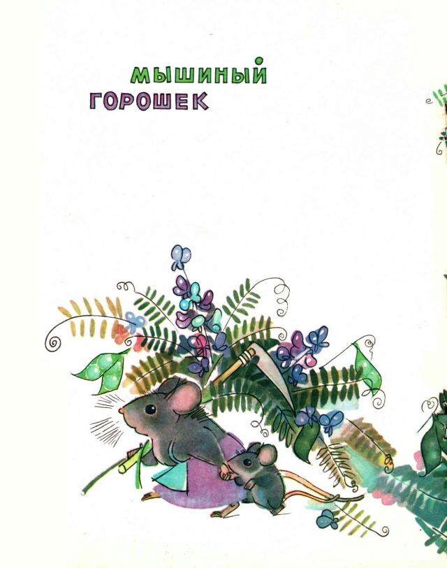 …Если в лесу сидеть тихо-тихо - image14.jpg