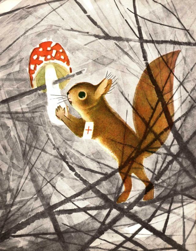 …Если в лесу сидеть тихо-тихо - image17.jpg