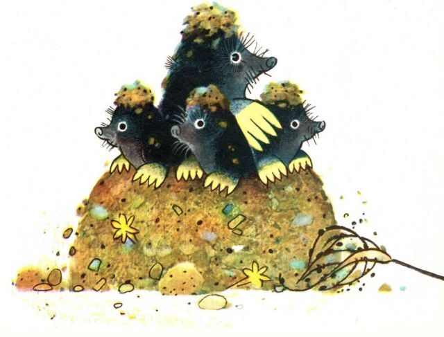 …Если в лесу сидеть тихо-тихо - image26.jpg