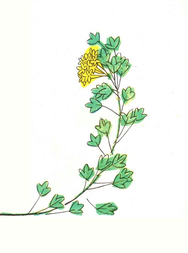 …Если в лесу сидеть тихо-тихо - image27.jpg