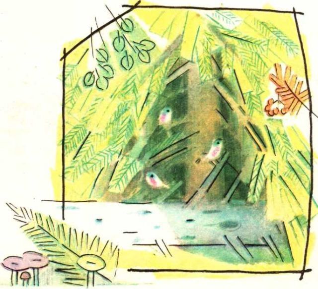 …Если в лесу сидеть тихо-тихо - image28.jpg