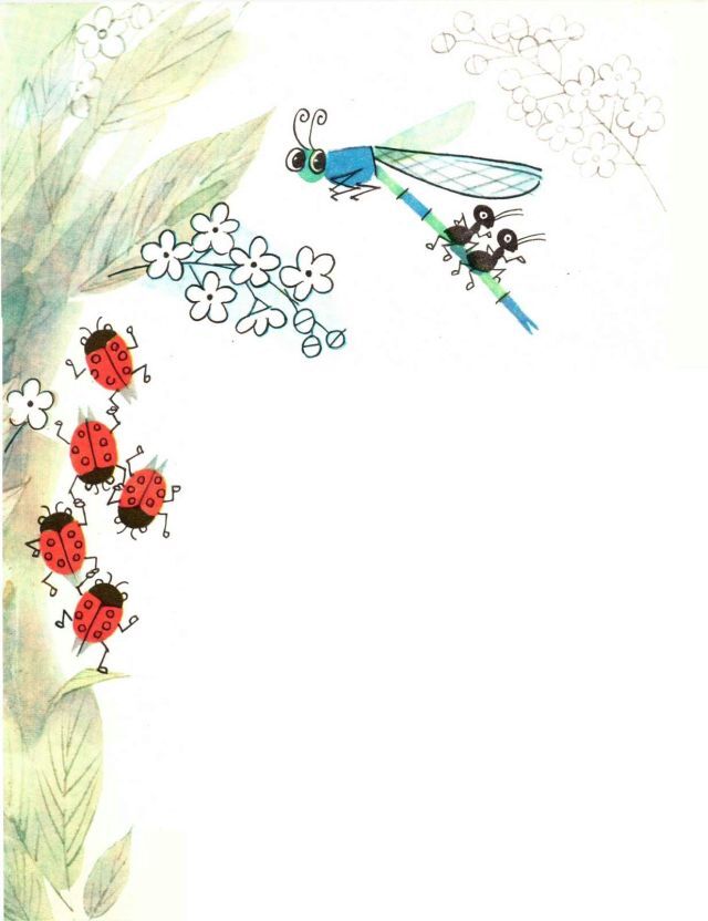 …Если в лесу сидеть тихо-тихо - image5.jpg