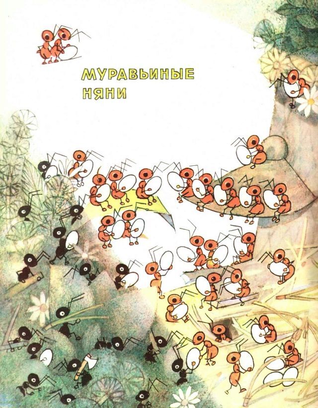 …Если в лесу сидеть тихо-тихо - image8.jpg