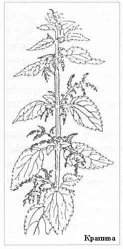 Плодородный сад. Экологический подход к садоводству и ландшафту - img_11.jpeg