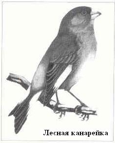 Плодородный сад. Экологический подход к садоводству и ландшафту - img_12.jpeg