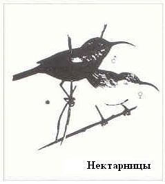 Плодородный сад. Экологический подход к садоводству и ландшафту - img_13.jpeg