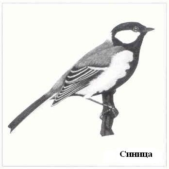 Плодородный сад. Экологический подход к садоводству и ландшафту - img_18.jpeg