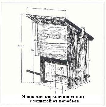 Плодородный сад. Экологический подход к садоводству и ландшафту - img_19.jpeg