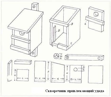 Плодородный сад. Экологический подход к садоводству и ландшафту - img_20.jpeg