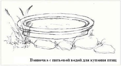 Плодородный сад. Экологический подход к садоводству и ландшафту - img_21.jpeg