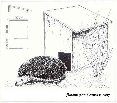 Плодородный сад. Экологический подход к садоводству и ландшафту - img_22.jpeg