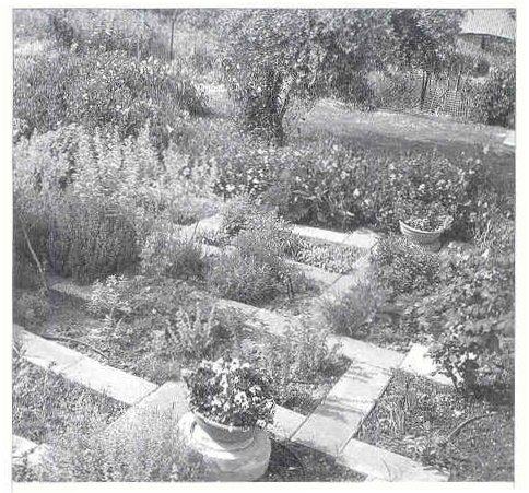 Плодородный сад. Экологический подход к садоводству и ландшафту - img_27.jpeg