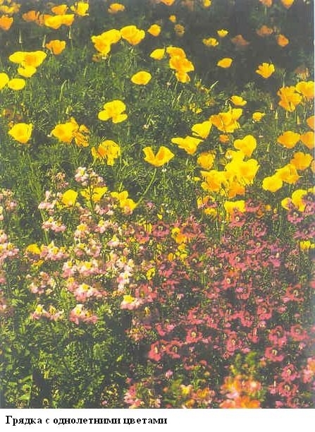 Плодородный сад. Экологический подход к садоводству и ландшафту - img_30.jpeg