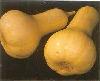 Плодородный сад. Экологический подход к садоводству и ландшафту - img_35.jpeg