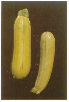 Плодородный сад. Экологический подход к садоводству и ландшафту - img_39.jpeg