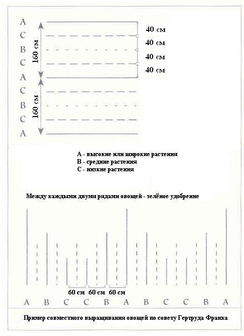 Плодородный сад. Экологический подход к садоводству и ландшафту - img_47.jpeg