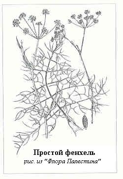 Плодородный сад. Экологический подход к садоводству и ландшафту - img_49.jpeg