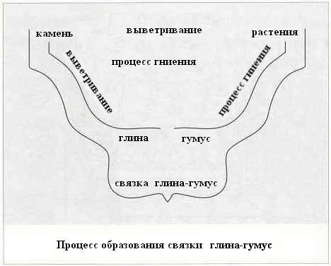 Плодородный сад. Экологический подход к садоводству и ландшафту - img_5.jpeg