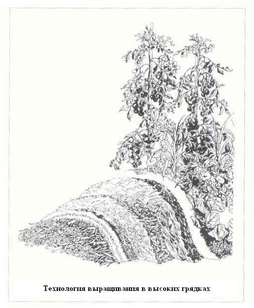 Плодородный сад. Экологический подход к садоводству и ландшафту - img_50.jpeg