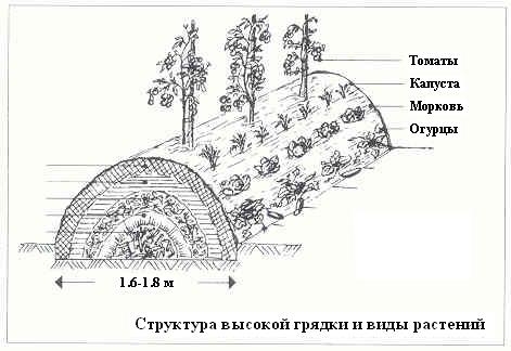 Плодородный сад. Экологический подход к садоводству и ландшафту - img_51.jpeg