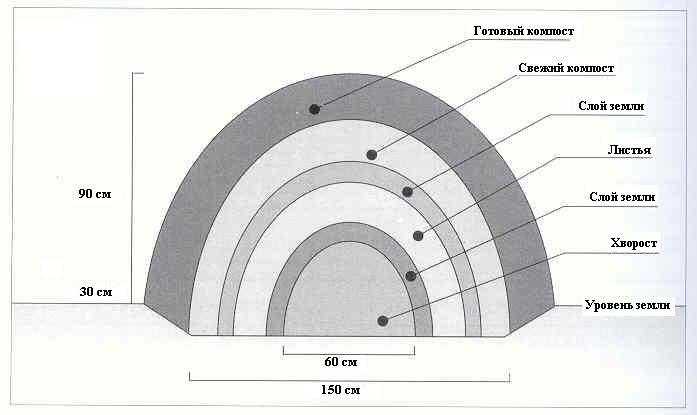 Плодородный сад. Экологический подход к садоводству и ландшафту - img_52.jpeg