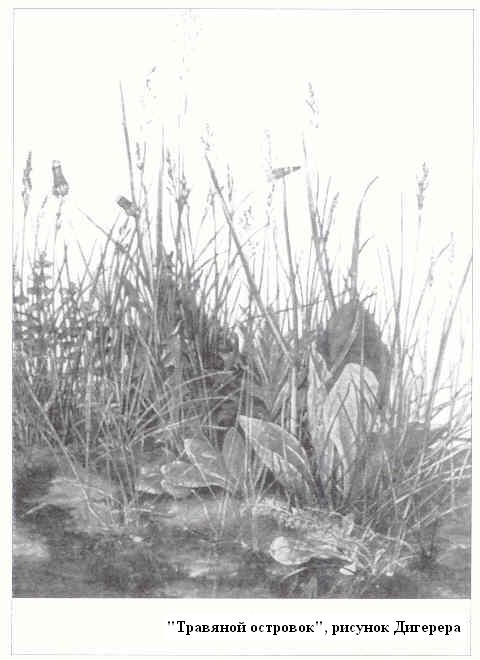 Плодородный сад. Экологический подход к садоводству и ландшафту - img_54.jpeg