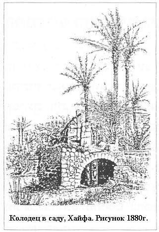 Плодородный сад. Экологический подход к садоводству и ландшафту - img_55.jpeg