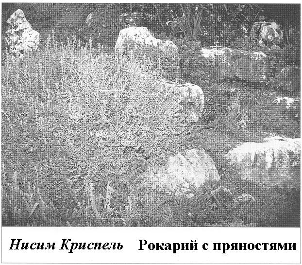 Плодородный сад. Экологический подход к садоводству и ландшафту - img_56.jpeg