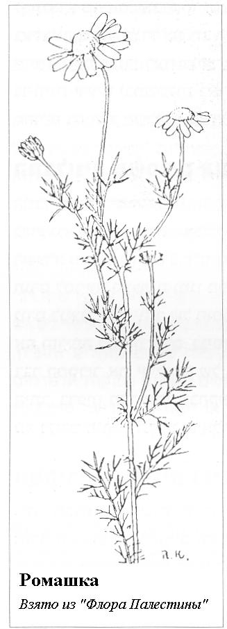 Плодородный сад. Экологический подход к садоводству и ландшафту - img_58.jpeg