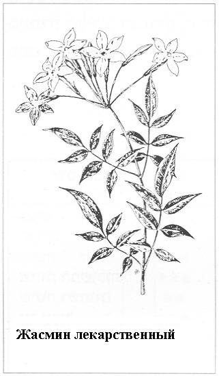 Плодородный сад. Экологический подход к садоводству и ландшафту - img_61.jpeg