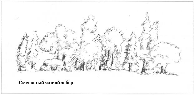 Плодородный сад. Экологический подход к садоводству и ландшафту - img_65.jpeg