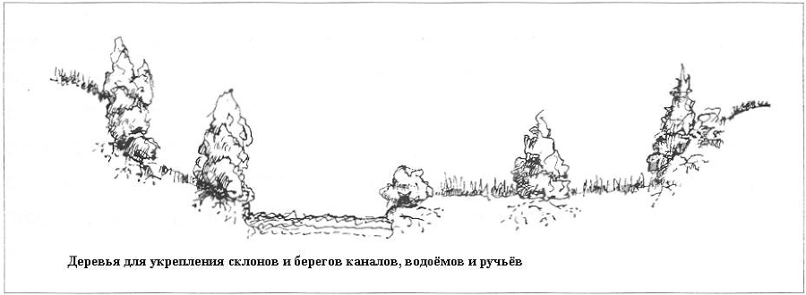 Плодородный сад. Экологический подход к садоводству и ландшафту - img_68.jpeg