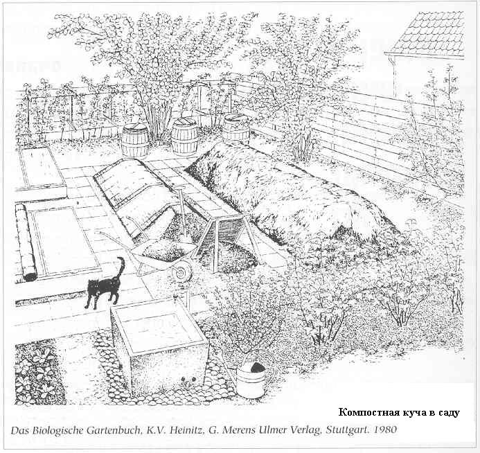 Плодородный сад. Экологический подход к садоводству и ландшафту - img_9.jpeg