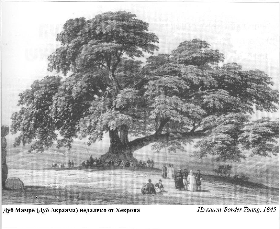 Плодородный сад. Экологический подход к садоводству и ландшафту - img_74.jpeg