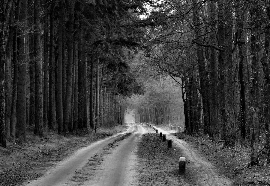 Опасные загадки - _2.jpg