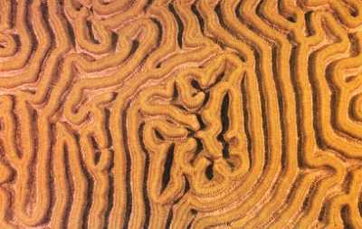 «Наука и Техника» [журнал для перспективной молодежи], 2008 № 01 (20) - _07.jpg