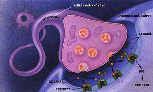 «Наука и Техника» [журнал для перспективной молодежи], 2008 № 01 (20) - _11.jpg