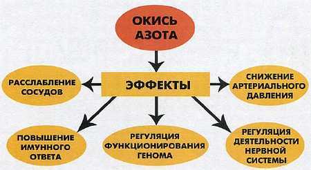 «Наука и Техника» [журнал для перспективной молодежи], 2008 № 01 (20) - _12.jpg