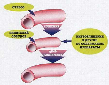 «Наука и Техника» [журнал для перспективной молодежи], 2008 № 01 (20) - _13.jpg