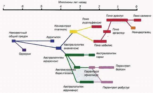 «Наука и Техника» [журнал для перспективной молодежи], 2008 № 01 (20) - _15.jpg