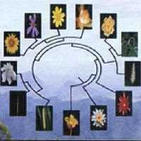 «Наука и Техника» [журнал для перспективной молодежи], 2008 № 01 (20) - _23.jpg_0