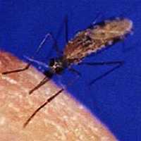 «Наука и Техника» [журнал для перспективной молодежи], 2008 № 01 (20) - _24.jpg_0