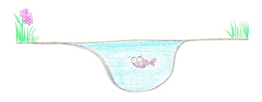 Какие бывают лужи? - _0.jpg