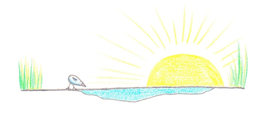 Какие бывают лужи? - _2.jpg