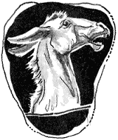 Вавилонская башня и другие древние легенды - i_034.png