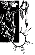 Вавилонская башня и другие древние легенды - i_061.png