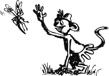 Кто похитил полдубленки? - pict_017.png