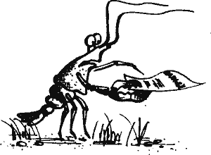 Кто похитил полдубленки? - pict_019.png